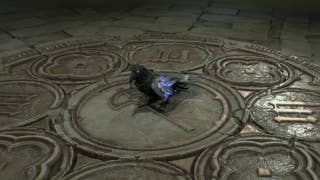 Diablo 4 patch change could make it easier to find Forgotten Altars, or you could pet Dorian the Raven instead