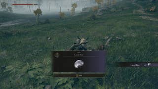 How to respec and reset stats in Elden Ring: Where do you find Larval Tears?