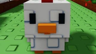 A chicken in Grow a Garden