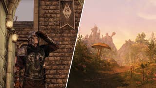 A dark elf adventurer looking into the distance in Skyrim mod Skywind, alongside the landscape of the mod's Morrowind.
